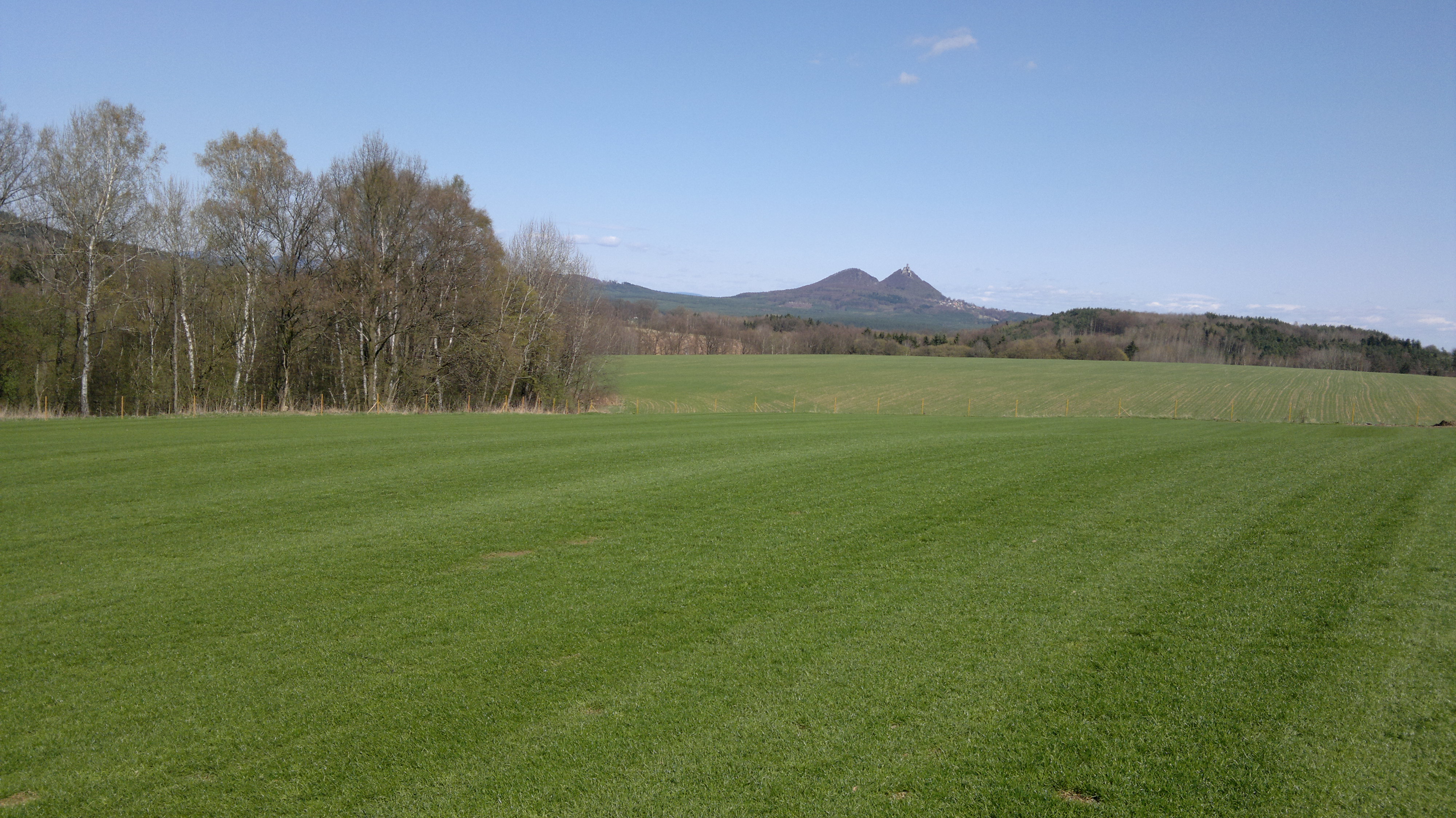 KMV - Travní a luční koberce foto 4