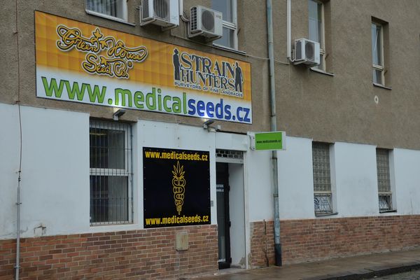 Semena Brno Janska