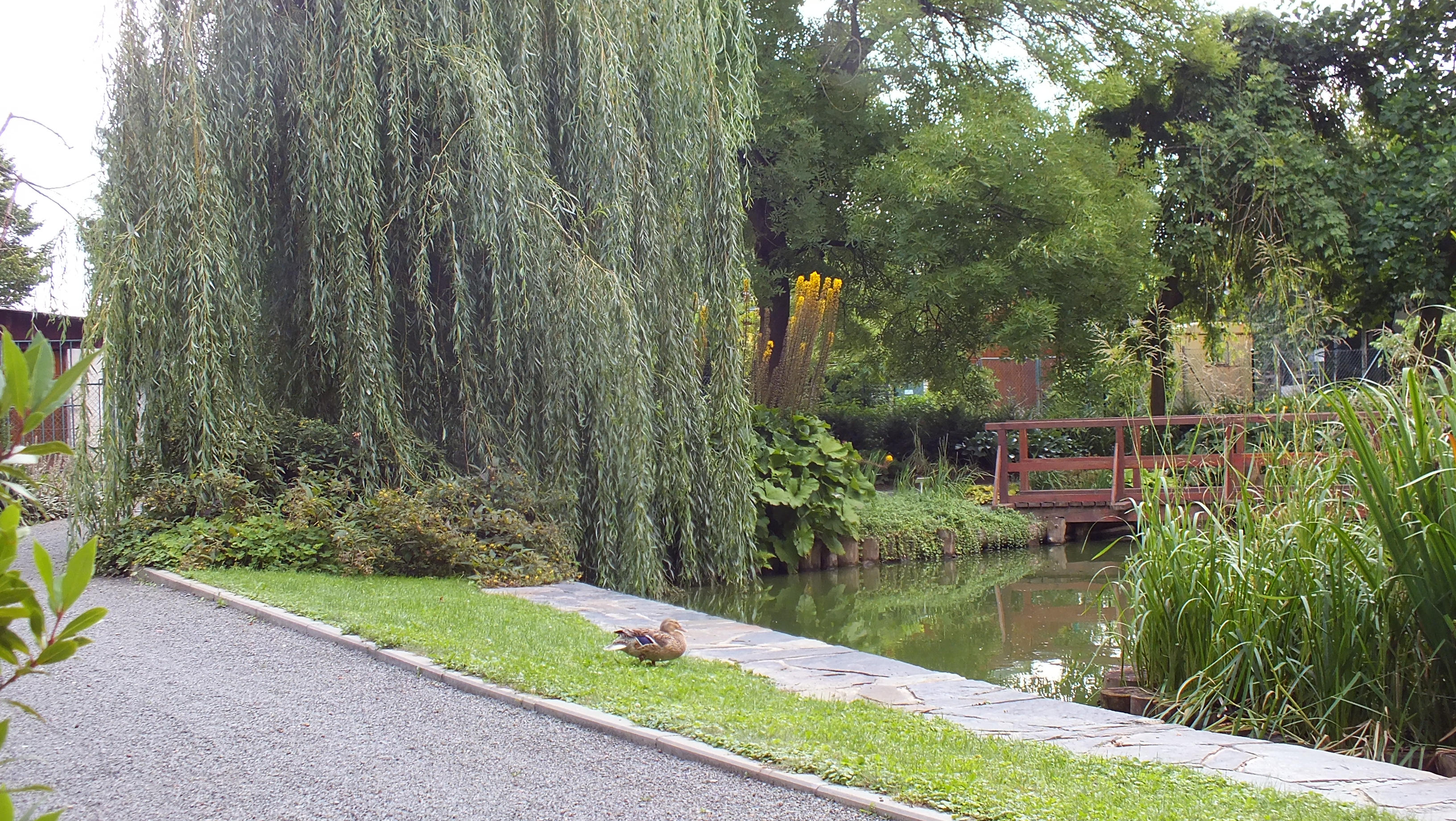 Arboretum Bílá Lhota foto 2