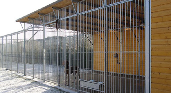 Kotce - Pavel Hanák foto 3