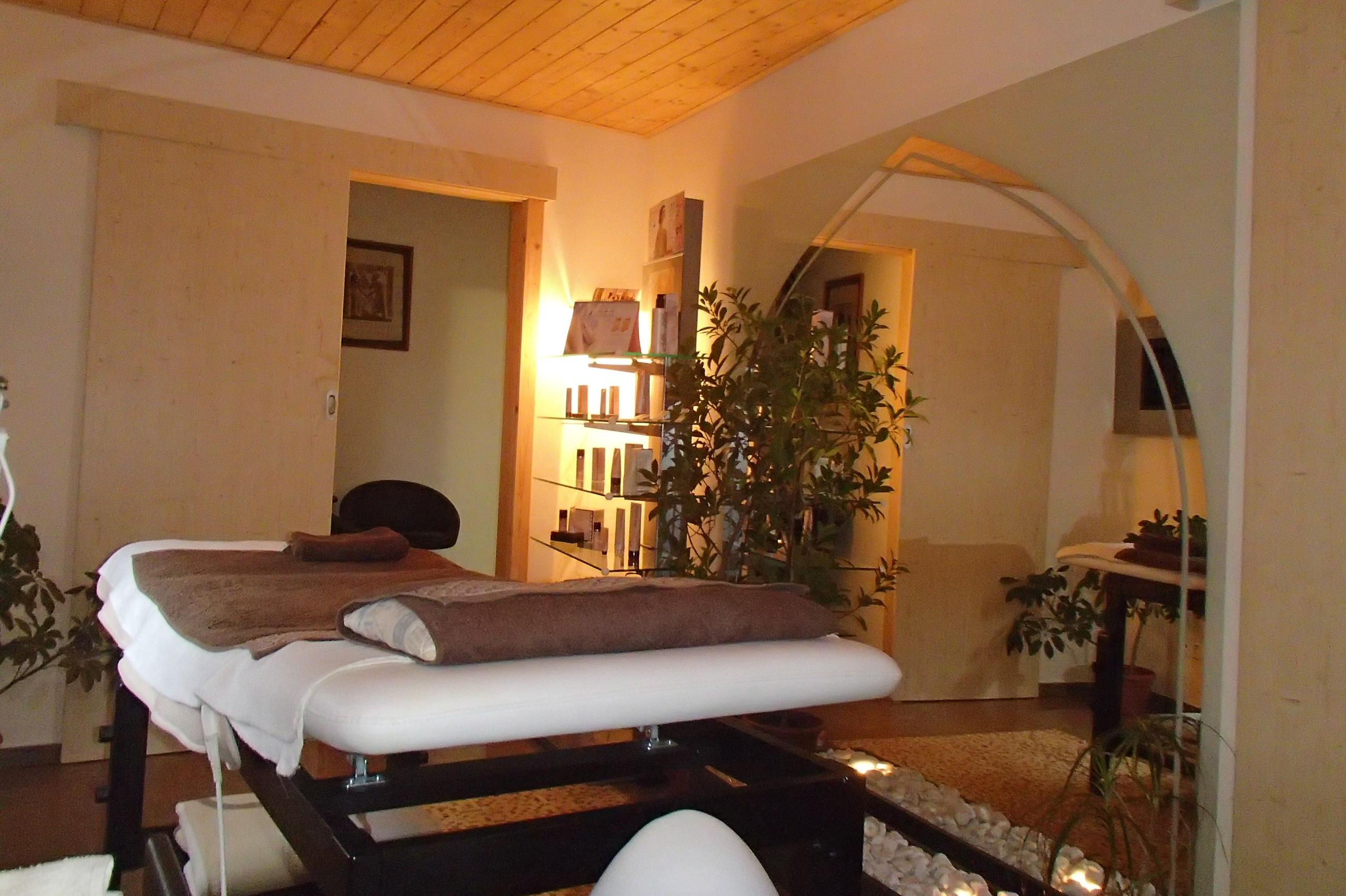 Petr Dobrovský - Harmonizace a regenerace organizmu