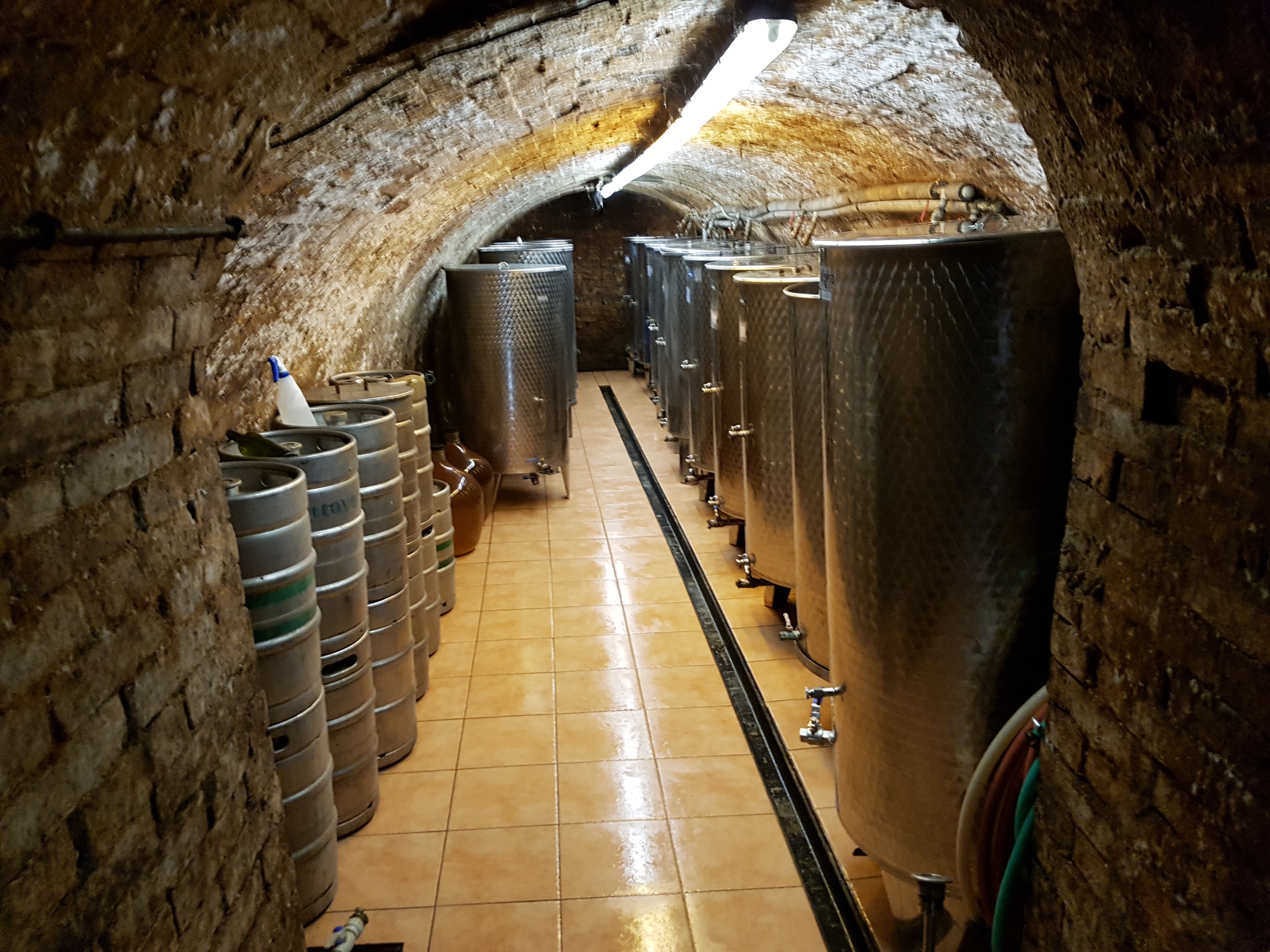 Vinařství Káfuněk foto 3