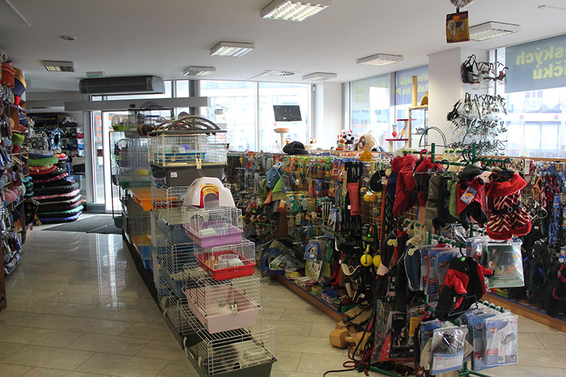 Pet Planet foto 2