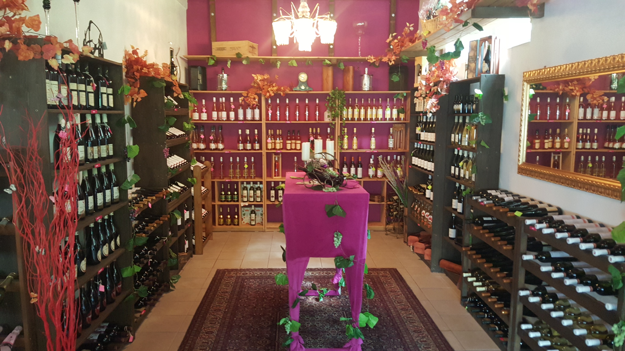 ČIČI CLUB FALKNOV s.r.o. foto 3