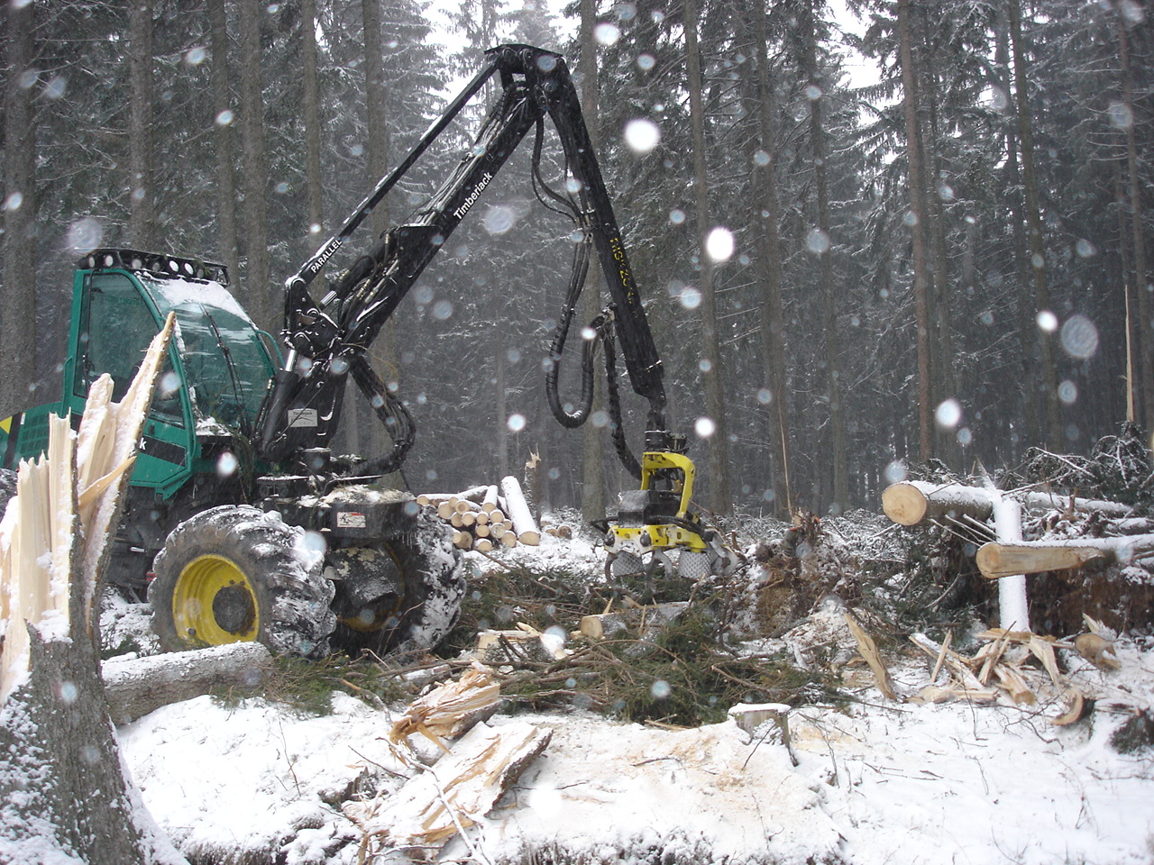 Židlický - Nosek foto 2