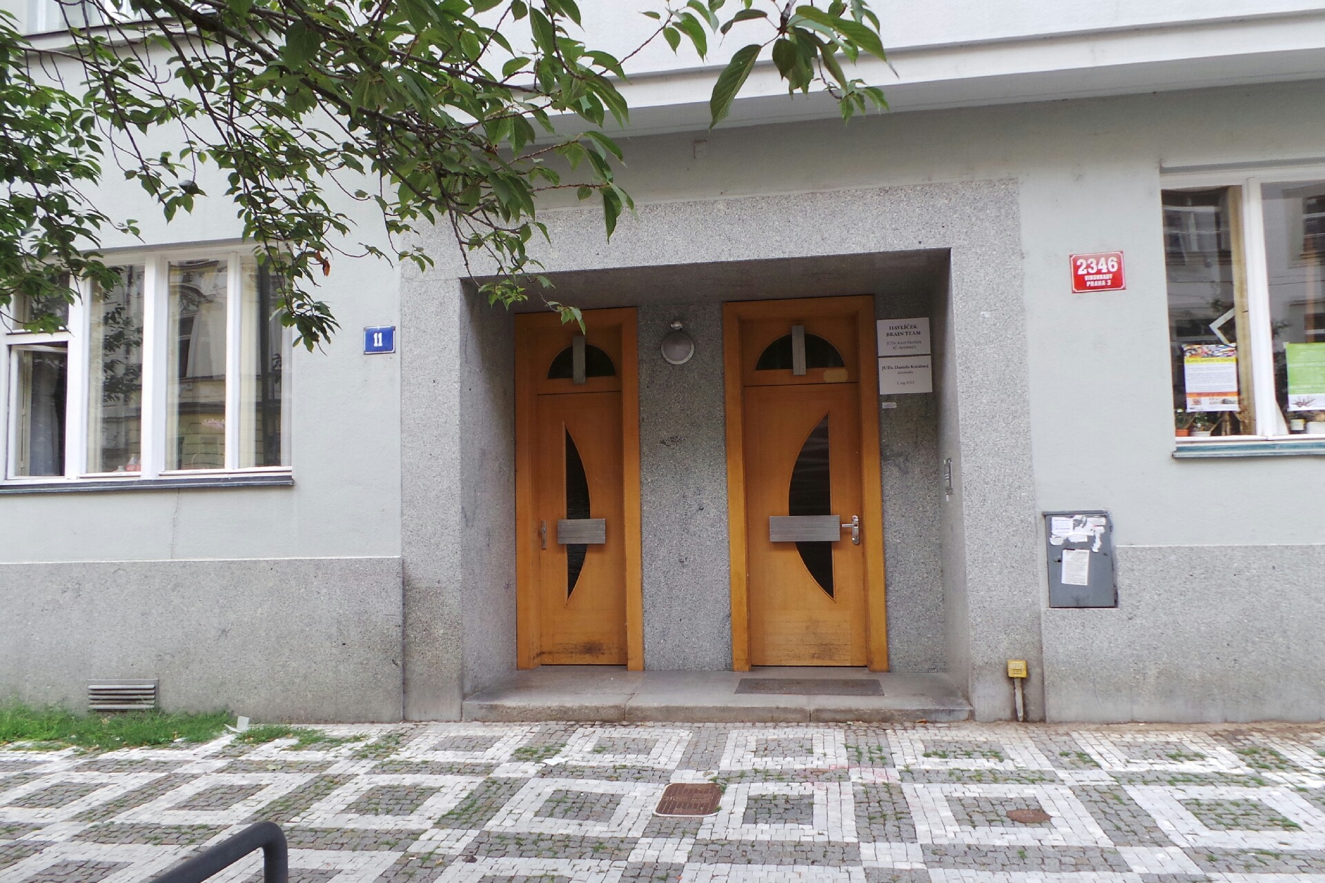 Havlíček Brain Team