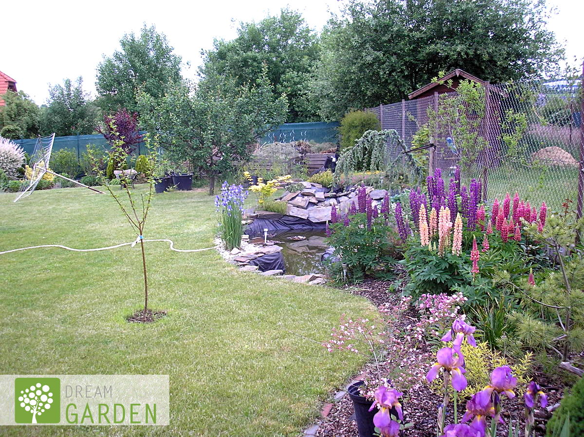 Dream Garden foto 2
