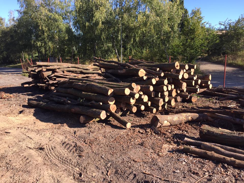 HOŠEK-Dřevo foto 6