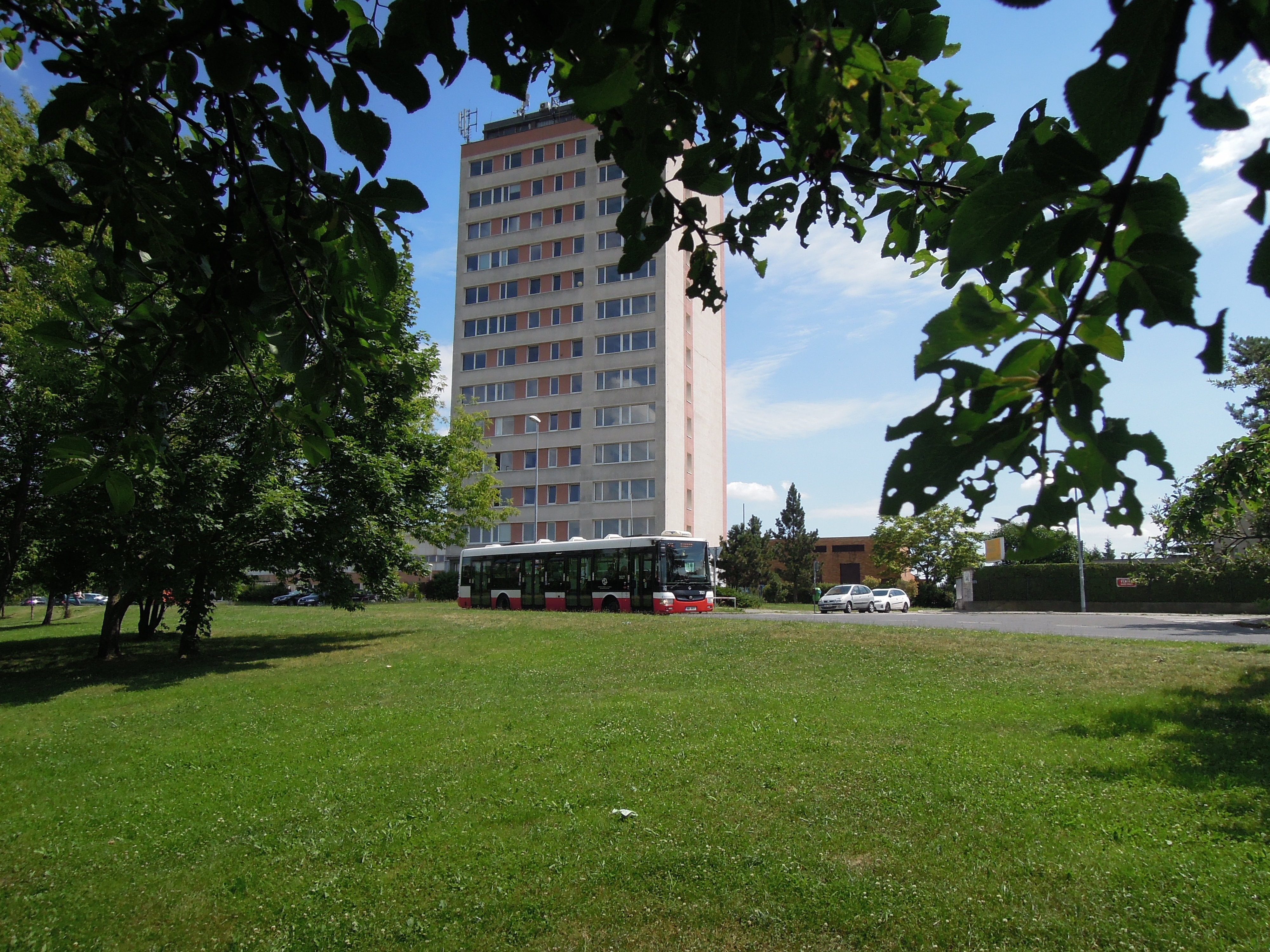 JUDr. Vlasta Miklušáková, advokát