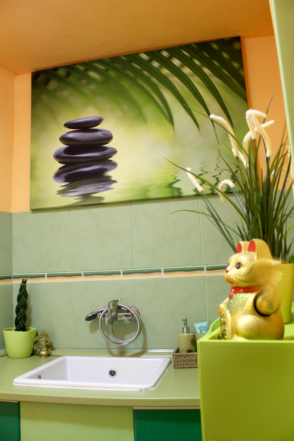 Hotel pro kočky Miacis foto 3