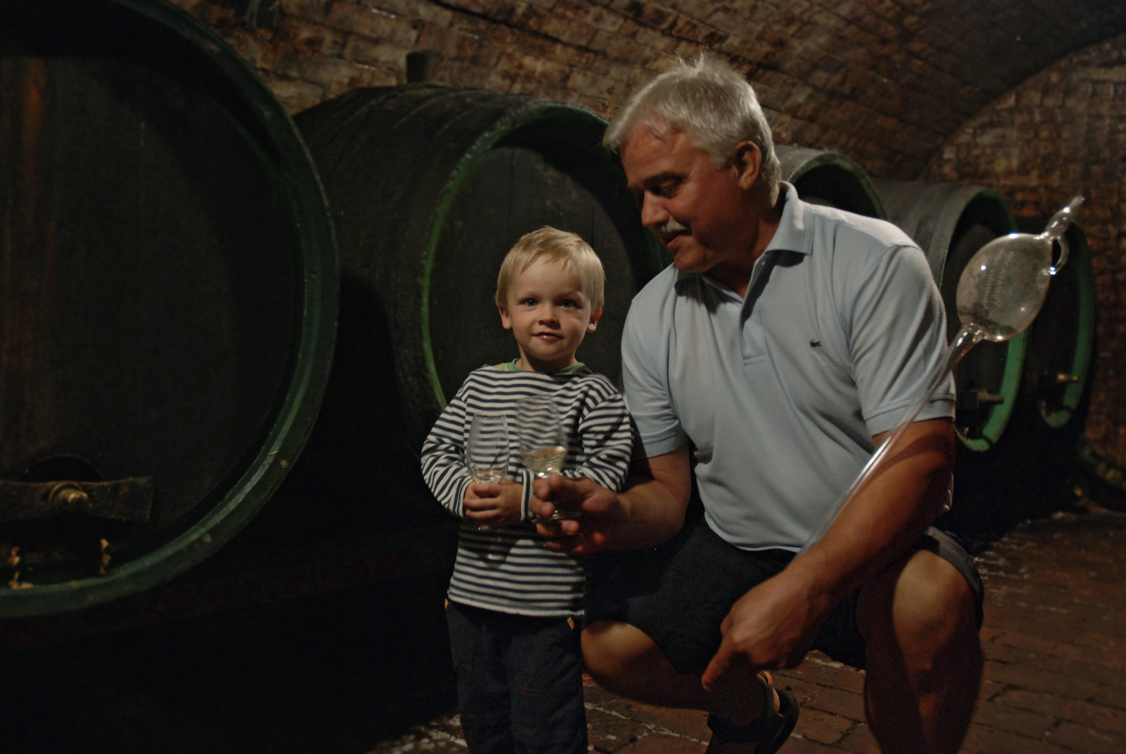 Ing. Josef Nováček