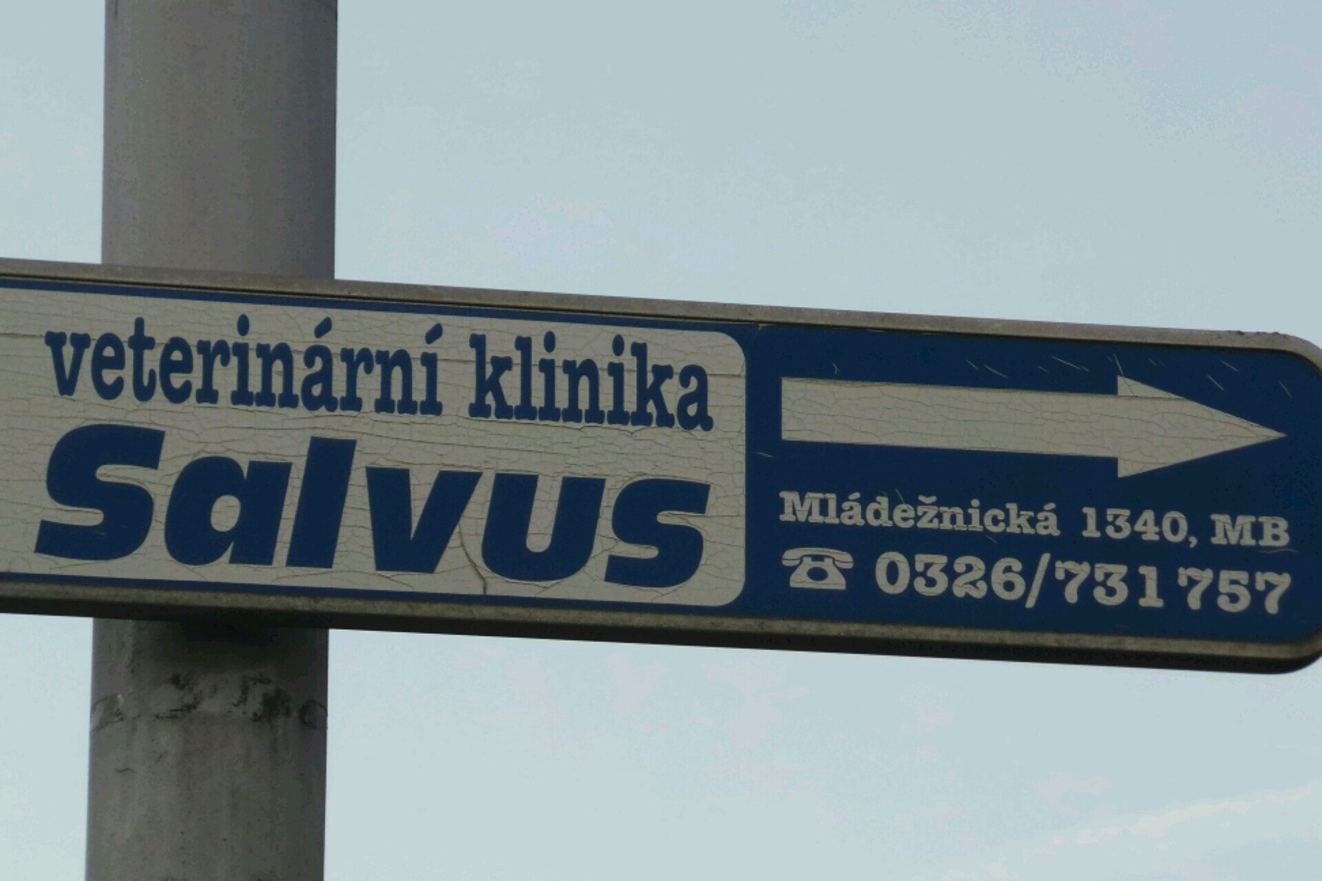 Veterinární klinika Salvus foto 2
