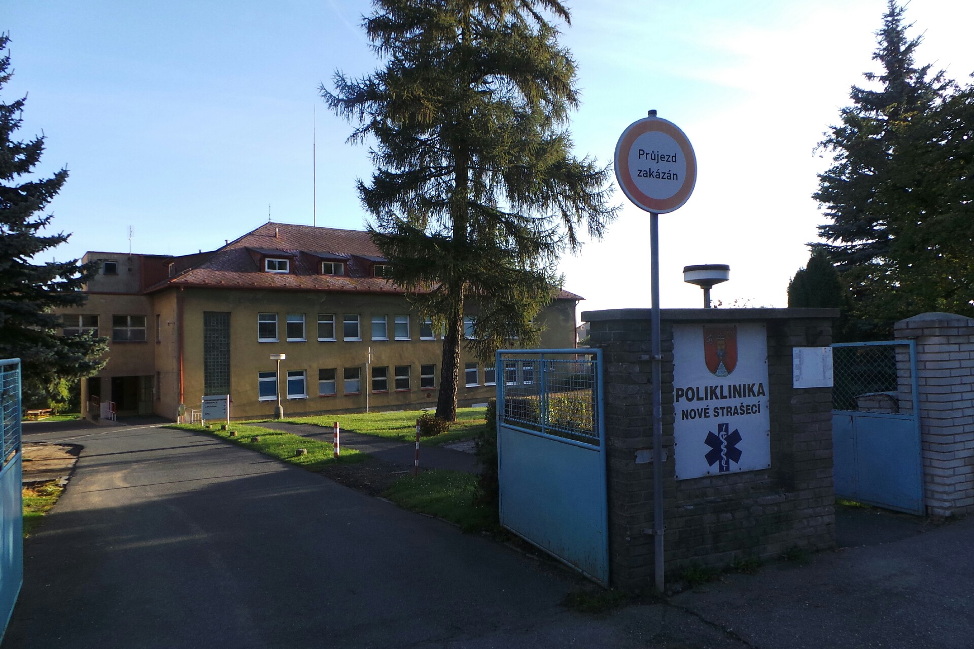 Světluše Stehlíková