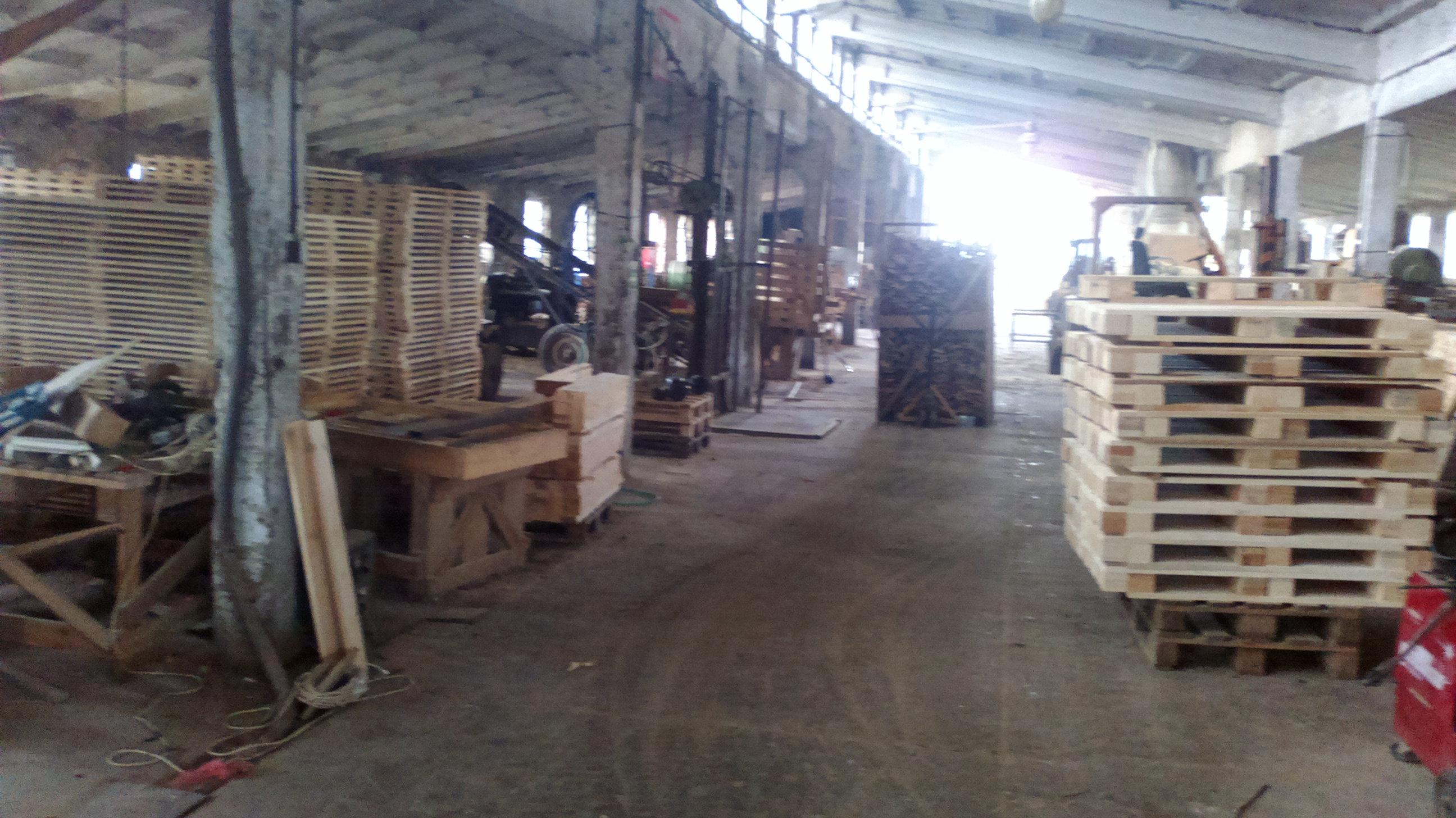 PINEWOOD, s.r.o. foto 3