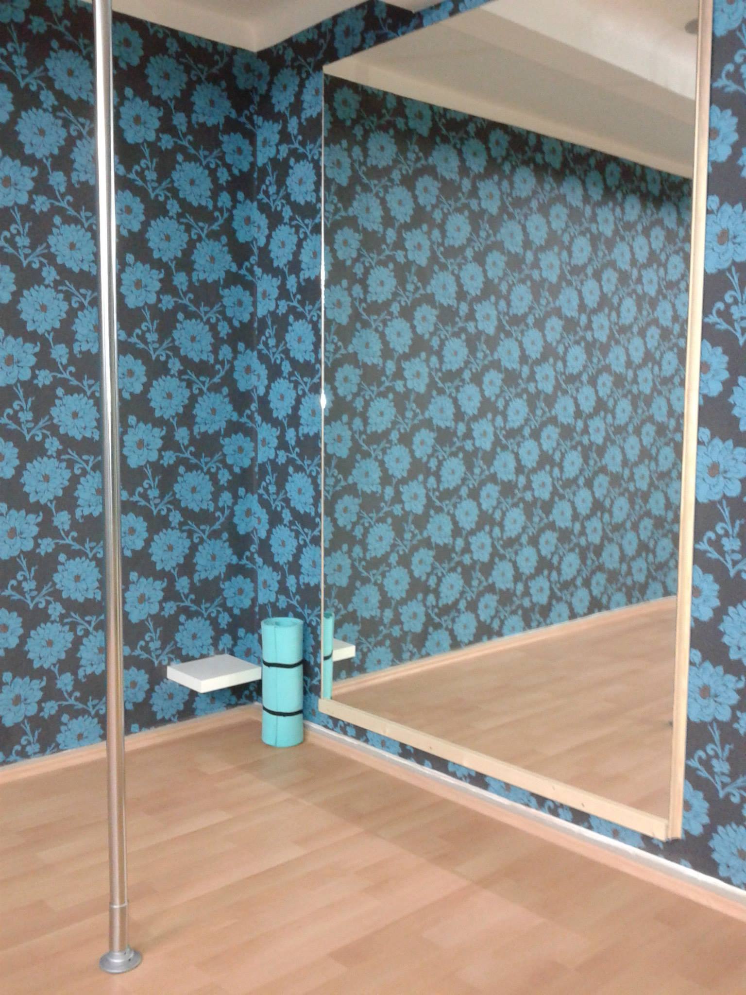 Simply Pole - Studio Soni Fornbaumové foto 4