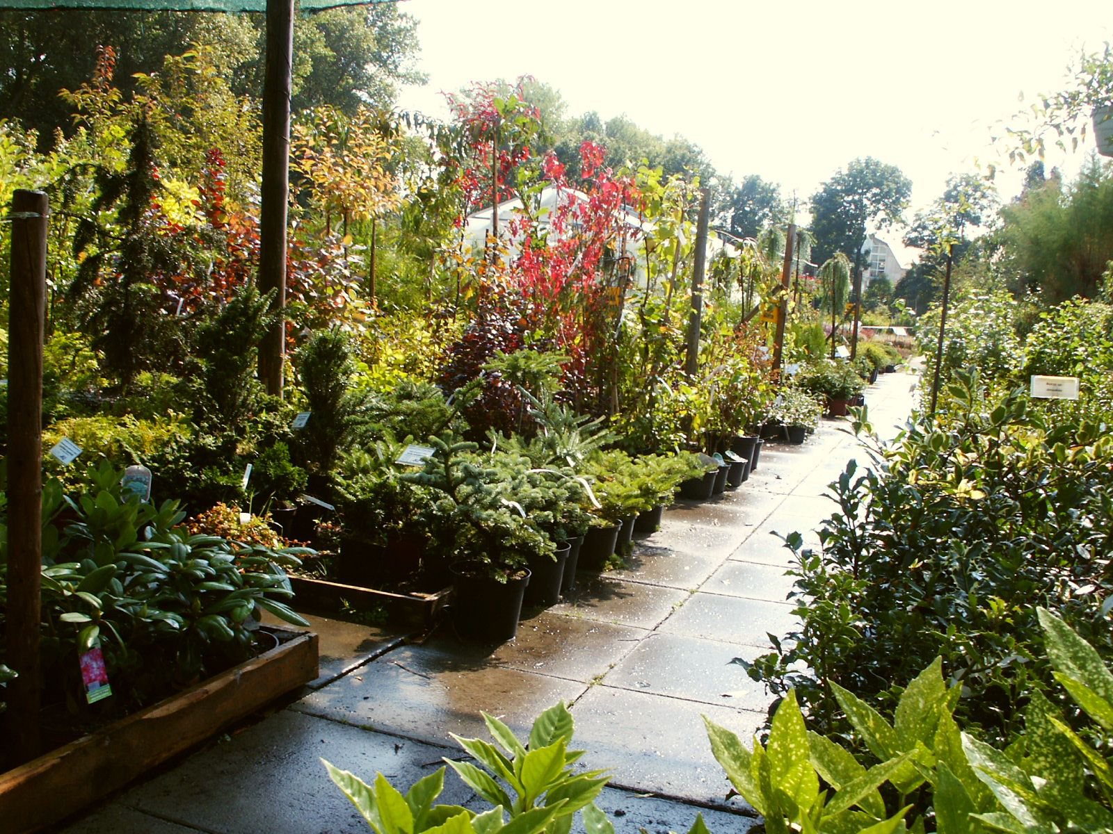 Zahradnictví Franc foto 3