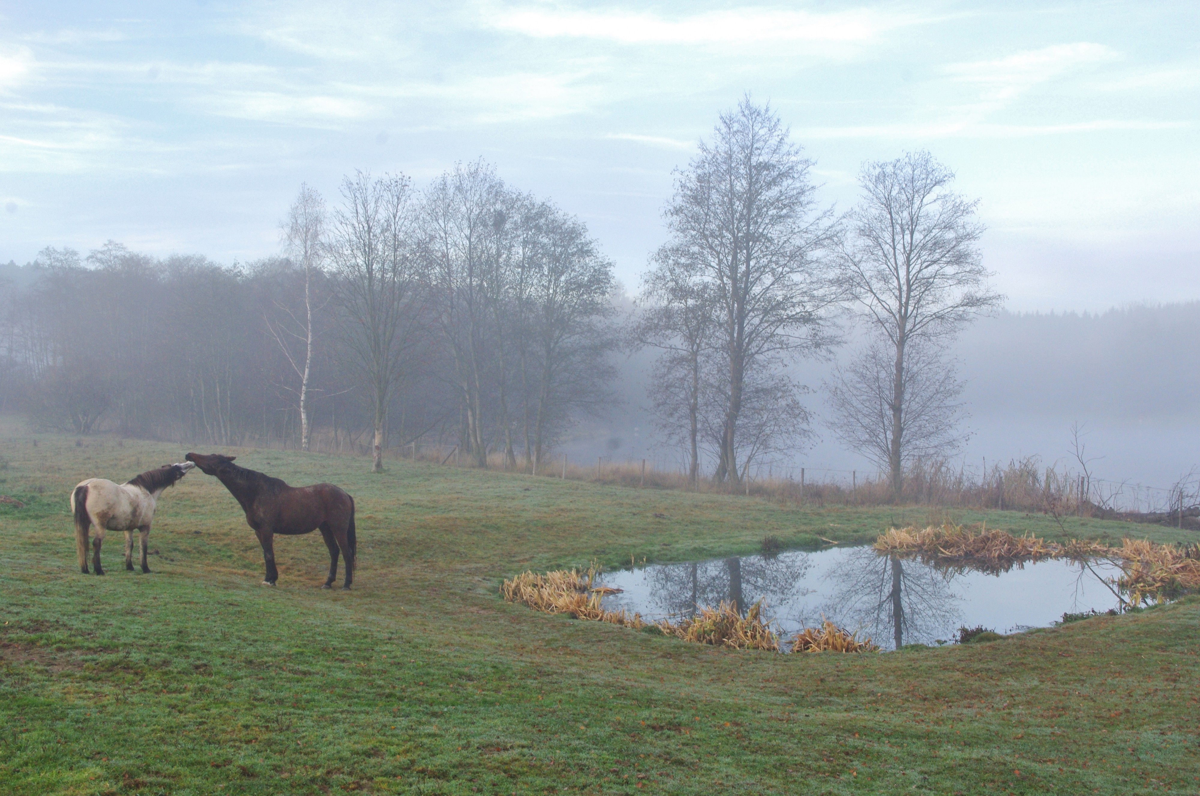 Farma u Vojtků foto 3