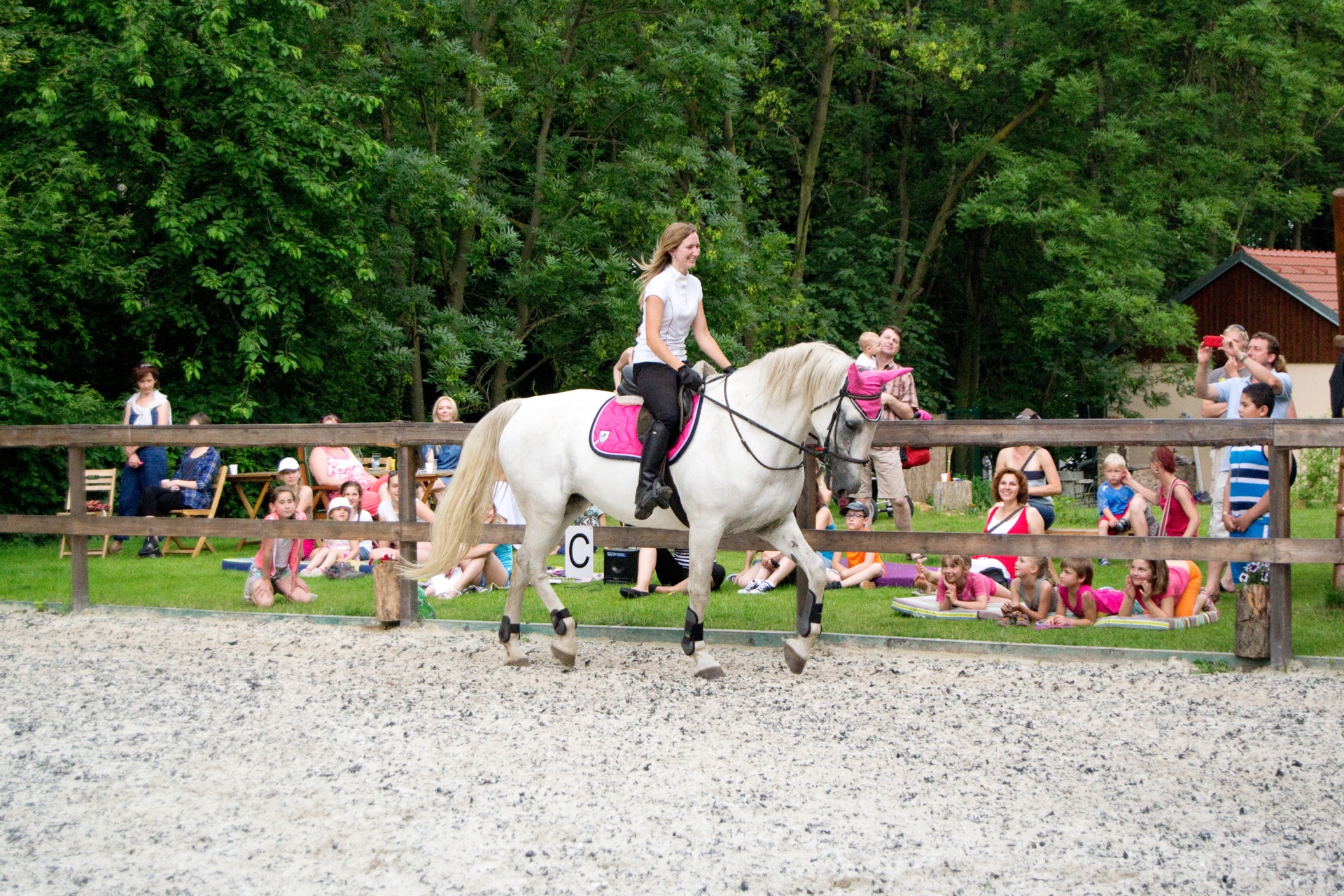 Quo Vadis - jízdárna Hloubětín