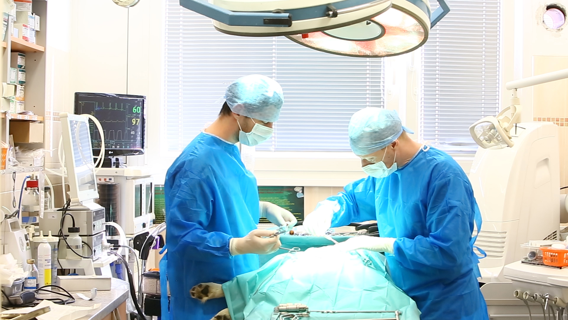 VETCENTRUM Duchek s.r.o. foto 4