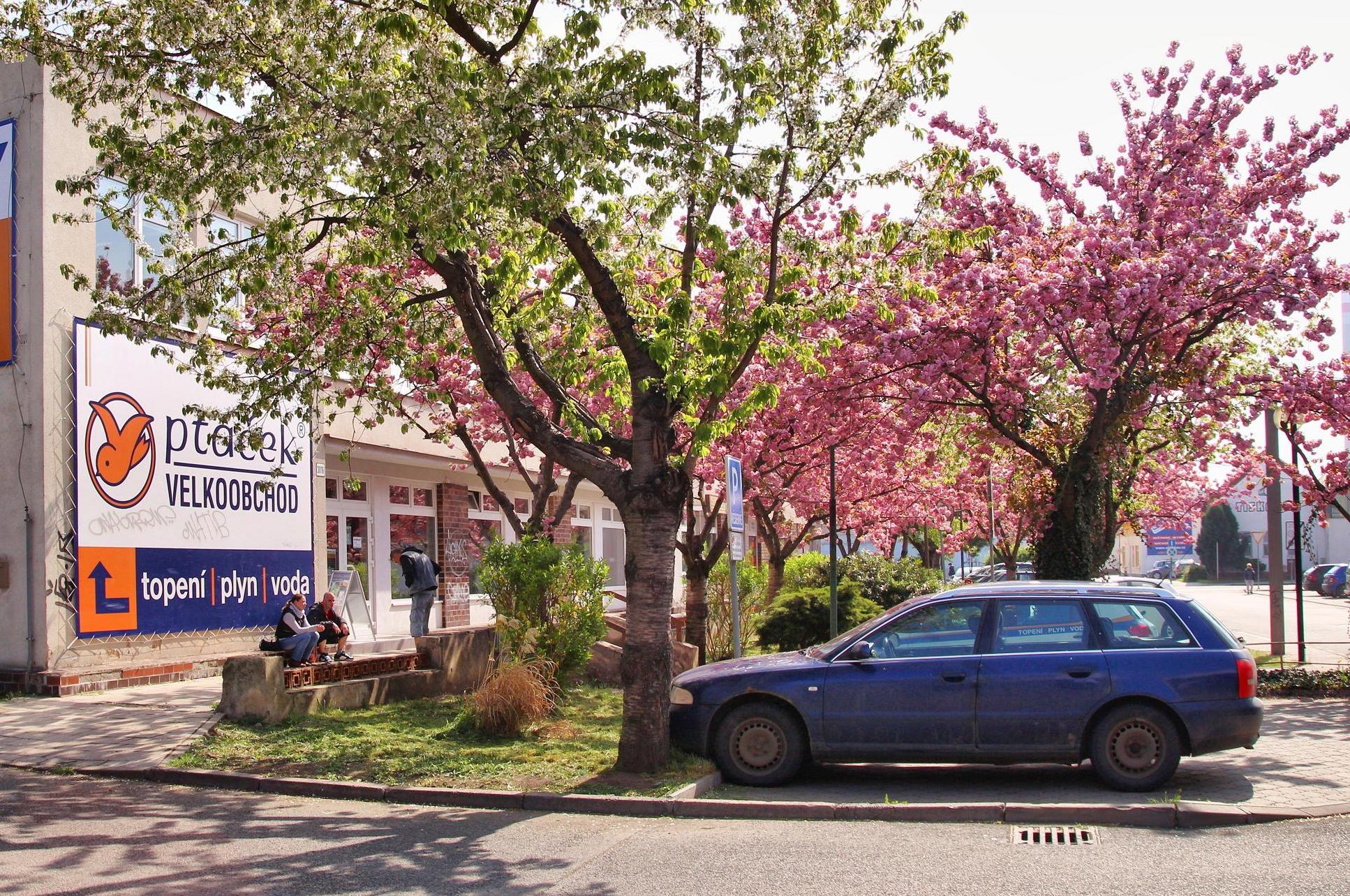 PTÁČEK: topení-voda-plyn