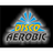 logo DiscoAerobic