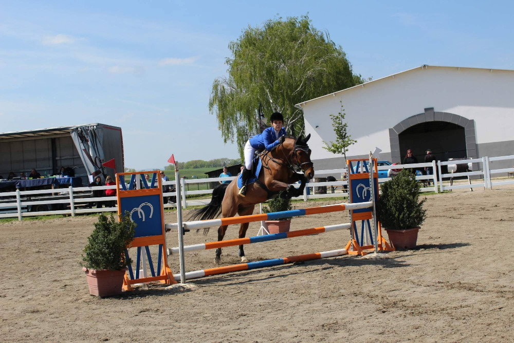 Jezdecká stáj Al-Kham-Sa Zlámanka foto 3