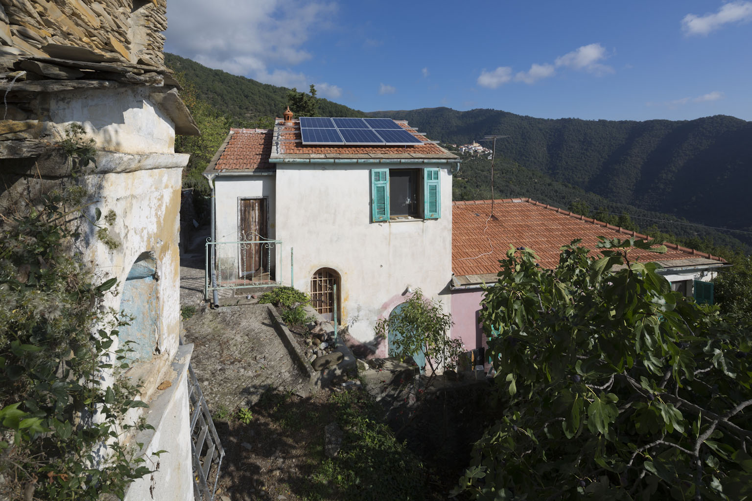 SOLAR KERBEROS foto 4