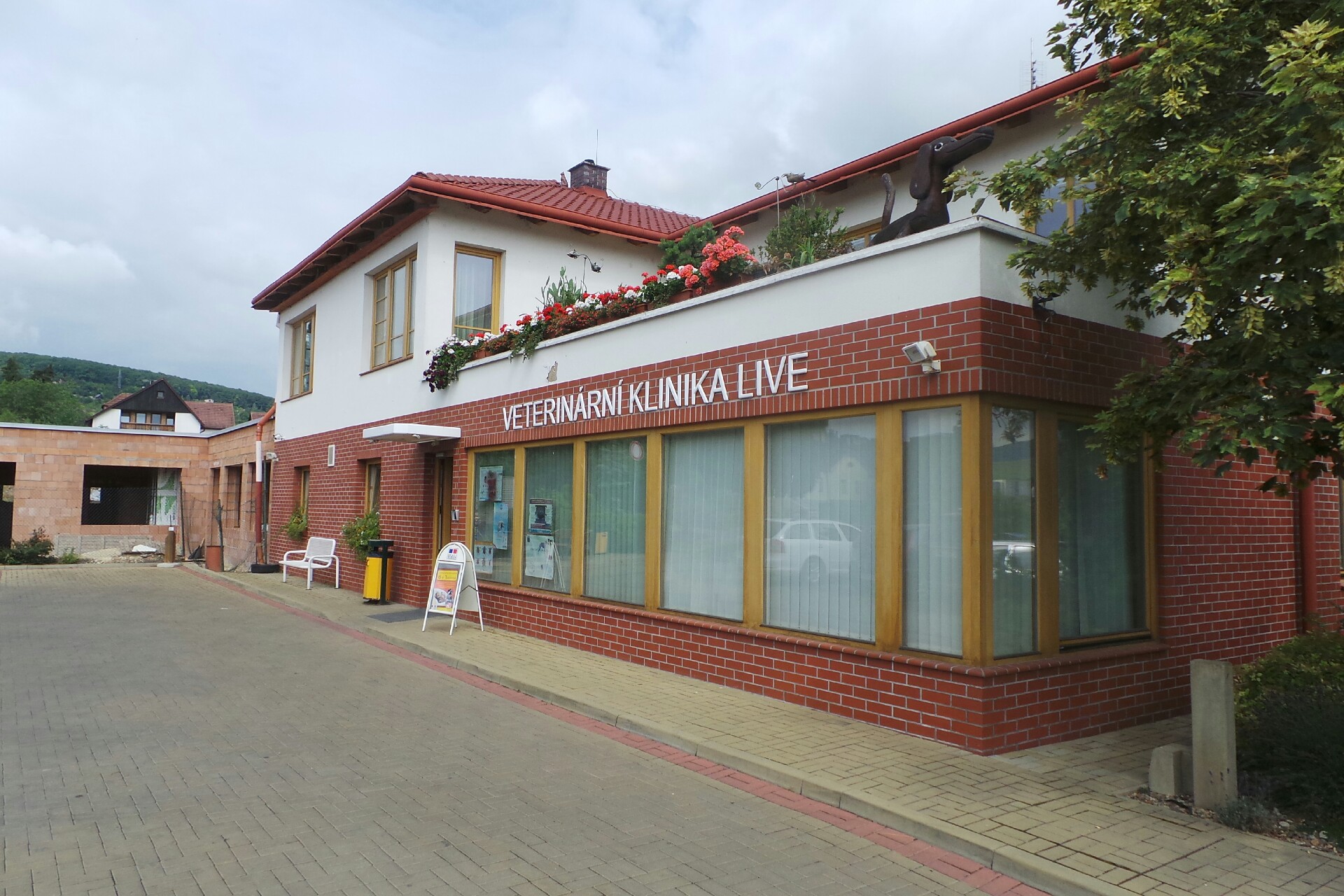 Veterinární klinika LIVE - MVDr. Eva Štolcová