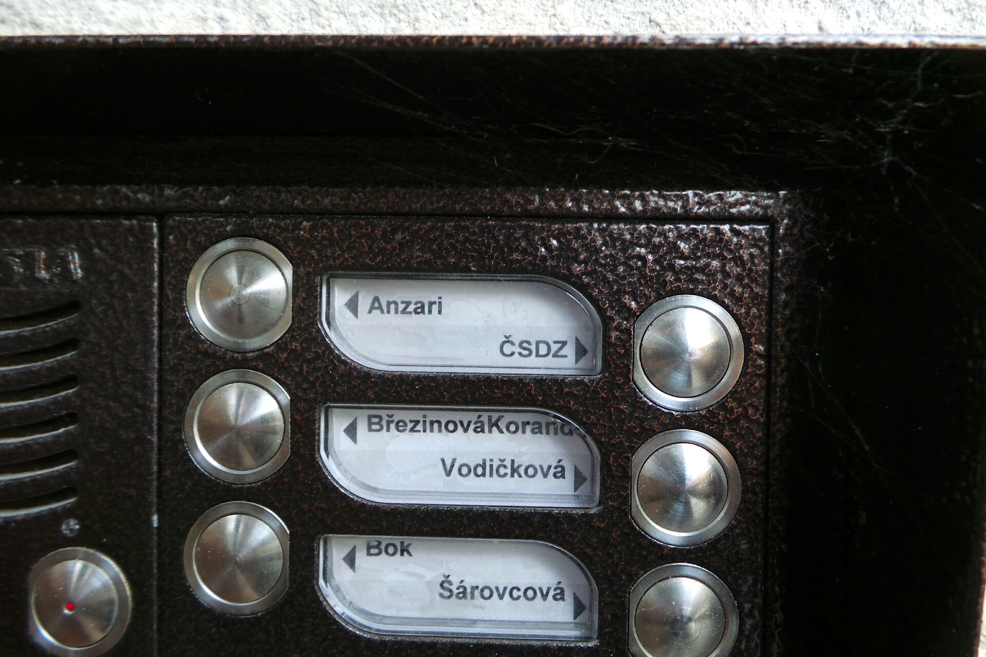 Česká společnost pro duševní zdraví foto 2