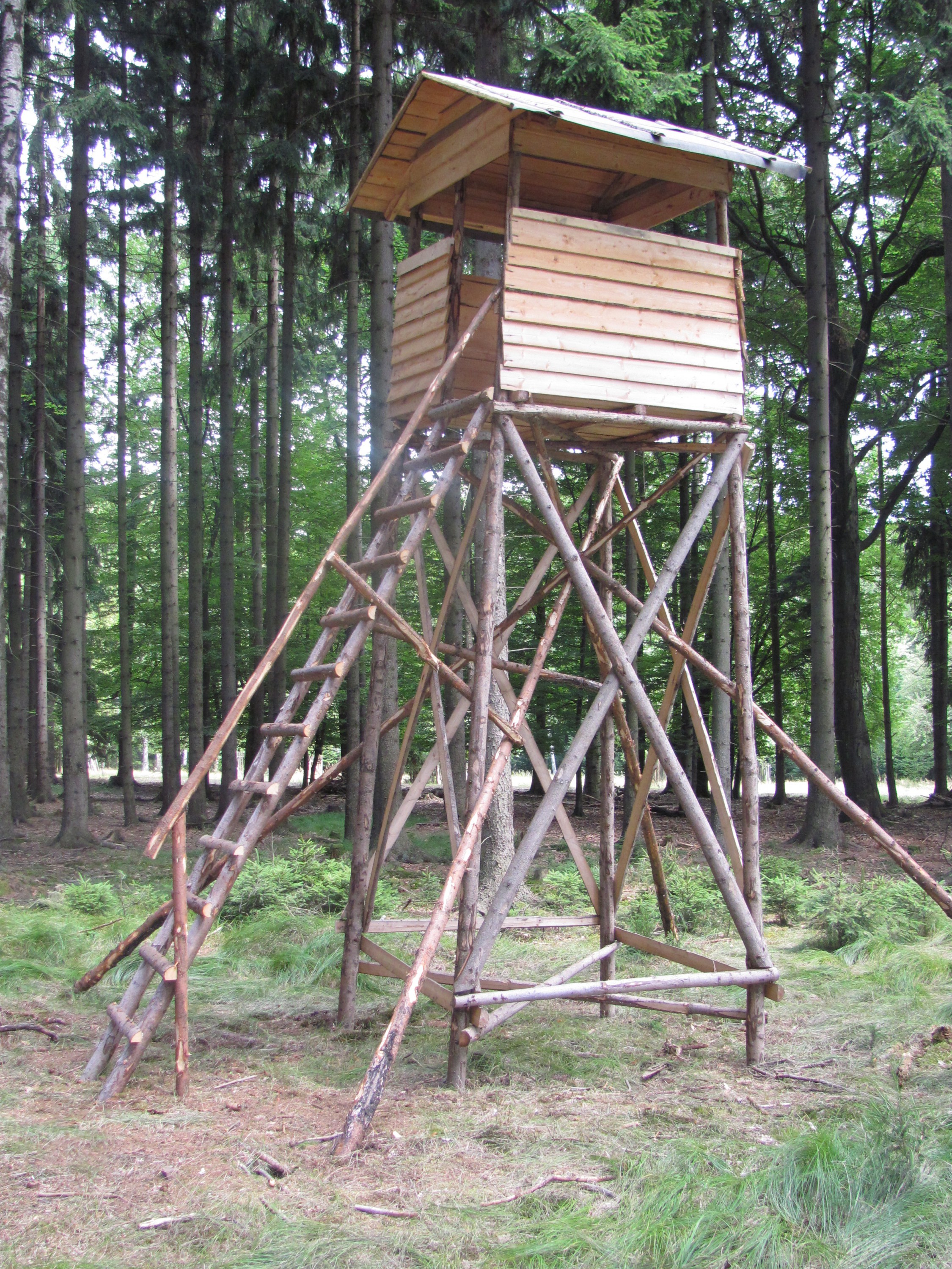 Lesní práce - Petr Pomahač foto 4