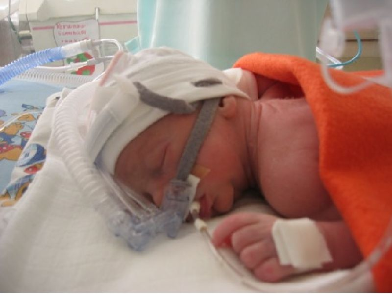 Nadační fond "N" foto 4