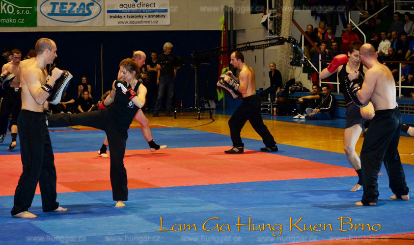 Hung Gar Kung Fu Škola Brno foto 3