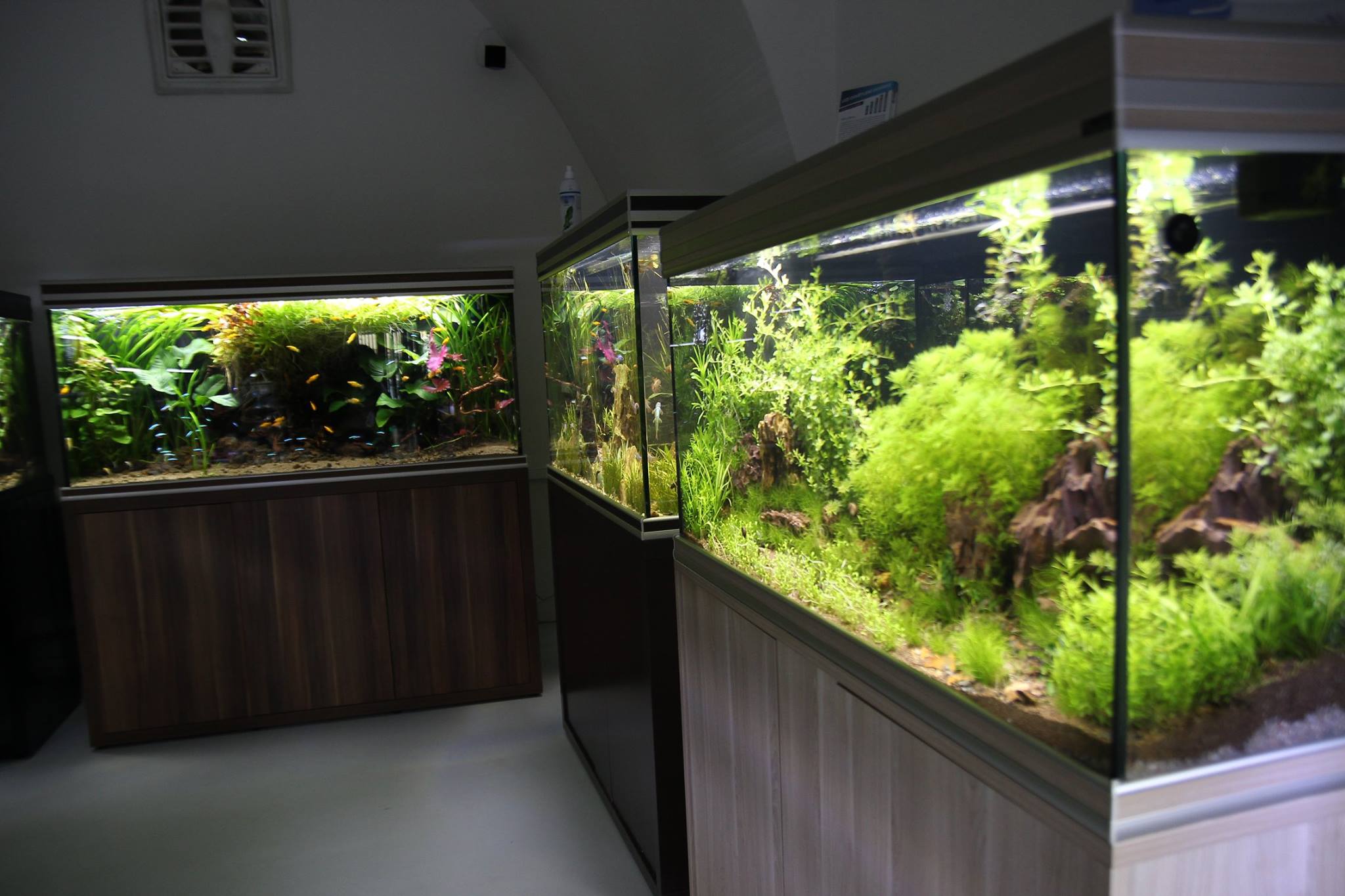 Akvazoo Rataj foto 6