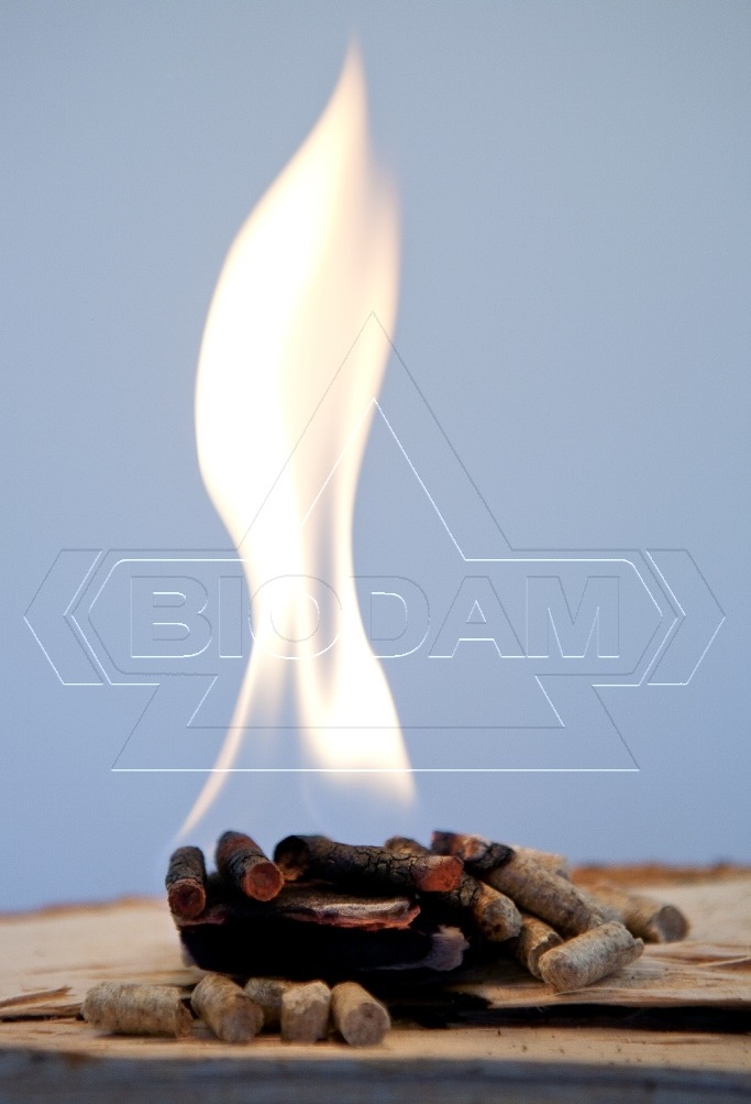 BIODAM, s.r.o. foto 2
