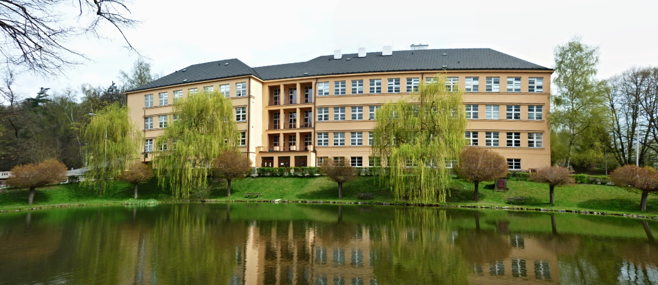 Základní škola Havlíčkův Brod, V Sadech 560 foto 2