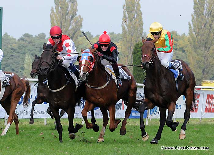 Farma koní Piruch foto 4