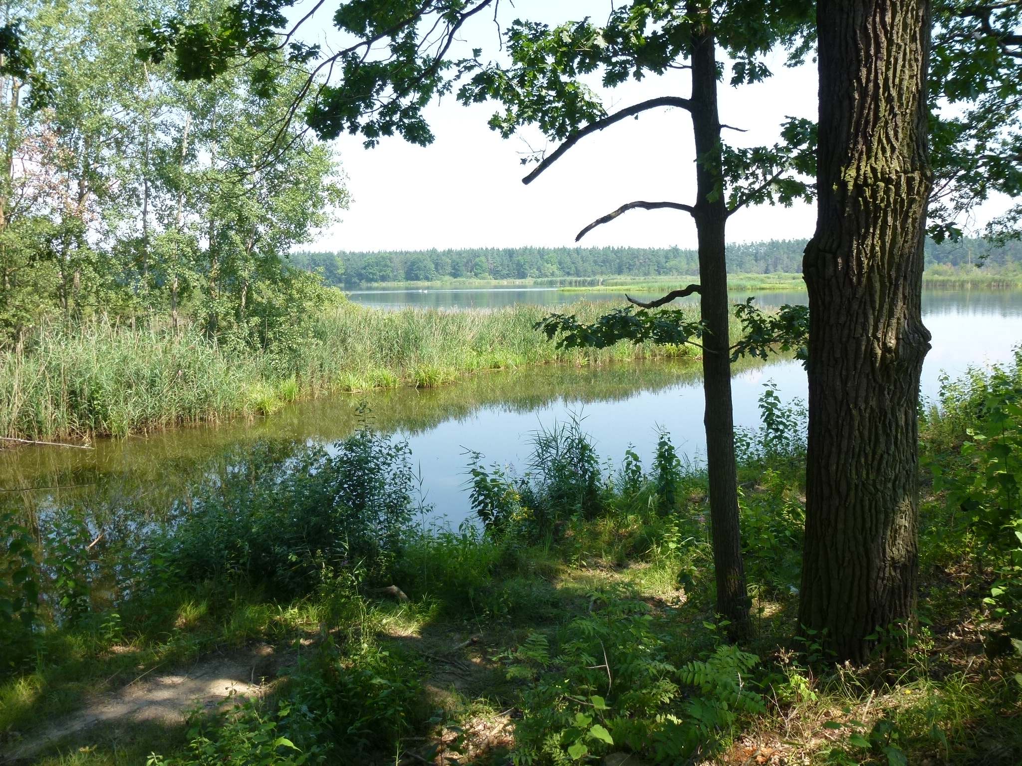 Penzion U hájovny foto 4