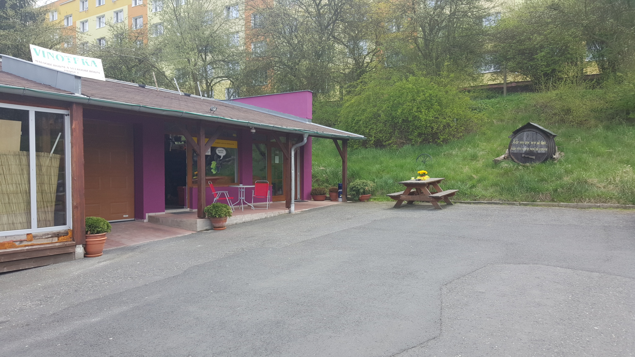 ČIČI CLUB FALKNOV s.r.o. foto 2