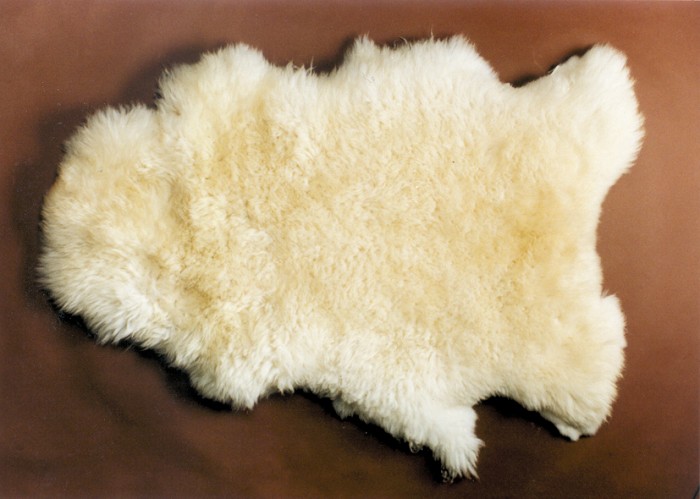 GEPARD boots, s.r.o. foto 2