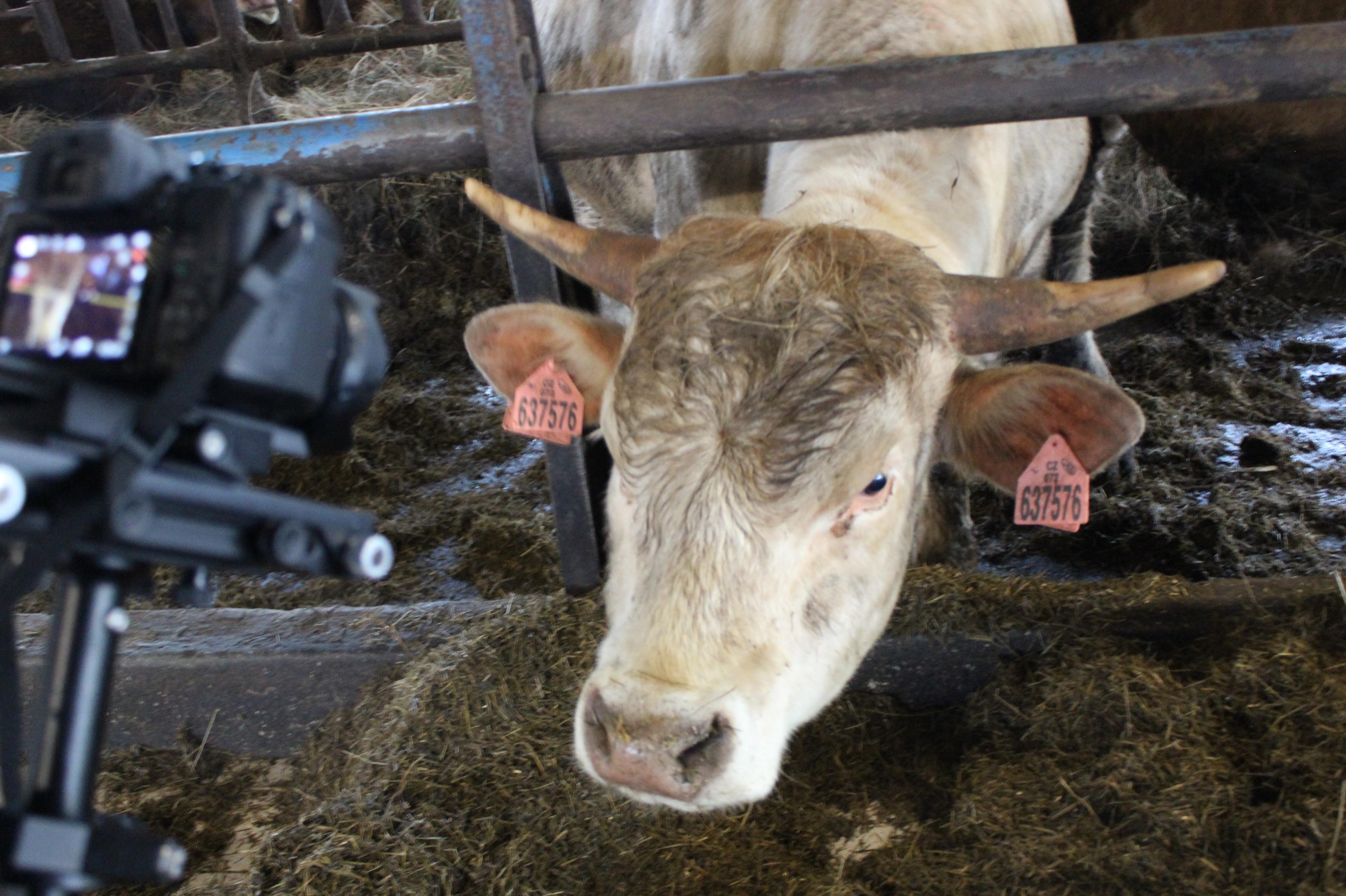 H&H Creative, s.r.o.