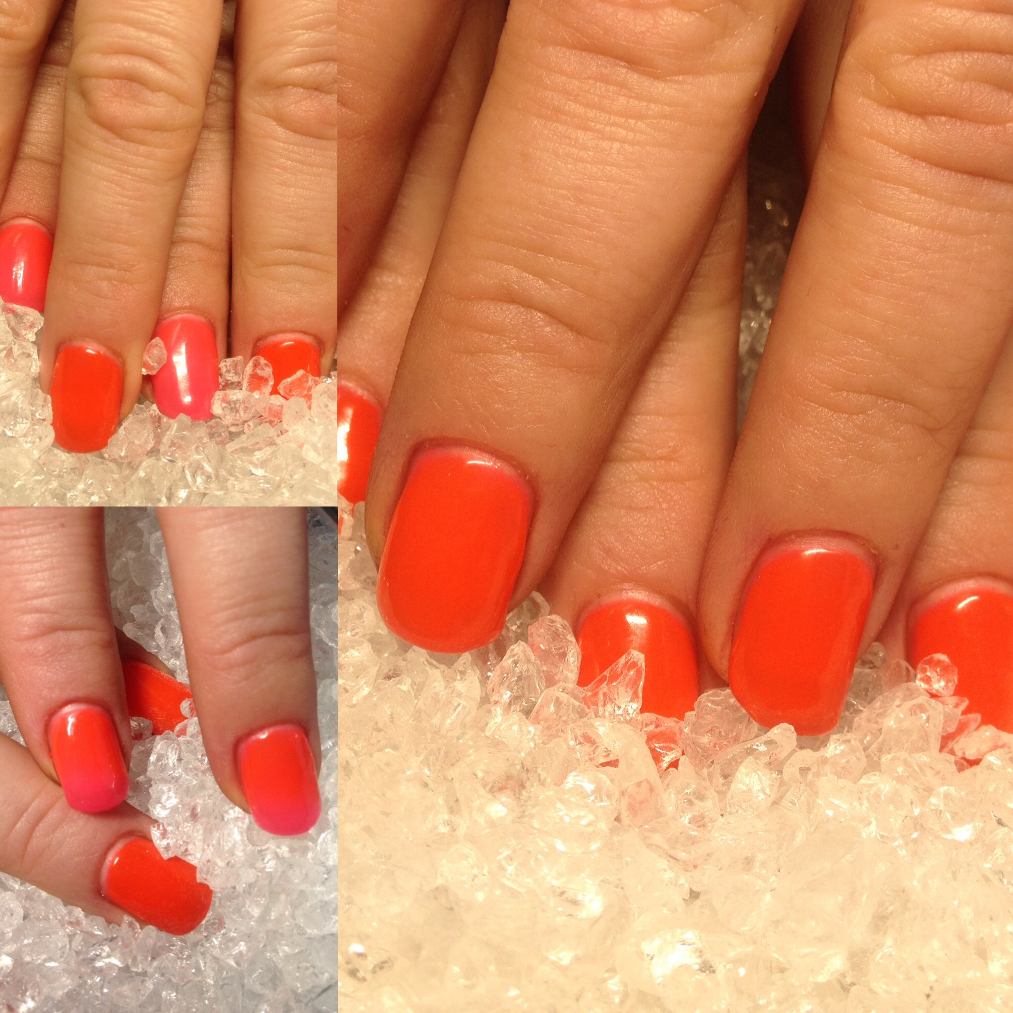 Petra Stejskalová foto 2