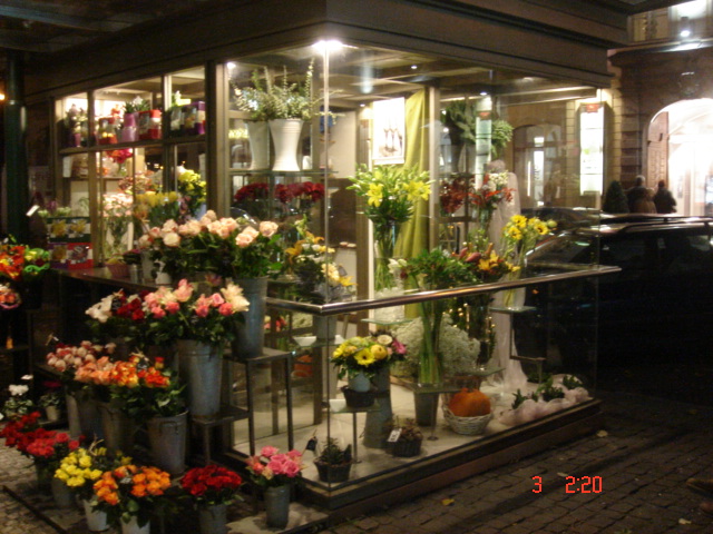 ARTIFLORA, s.r.o. foto 3