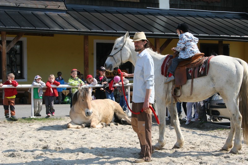 Ogarek.cz foto 2