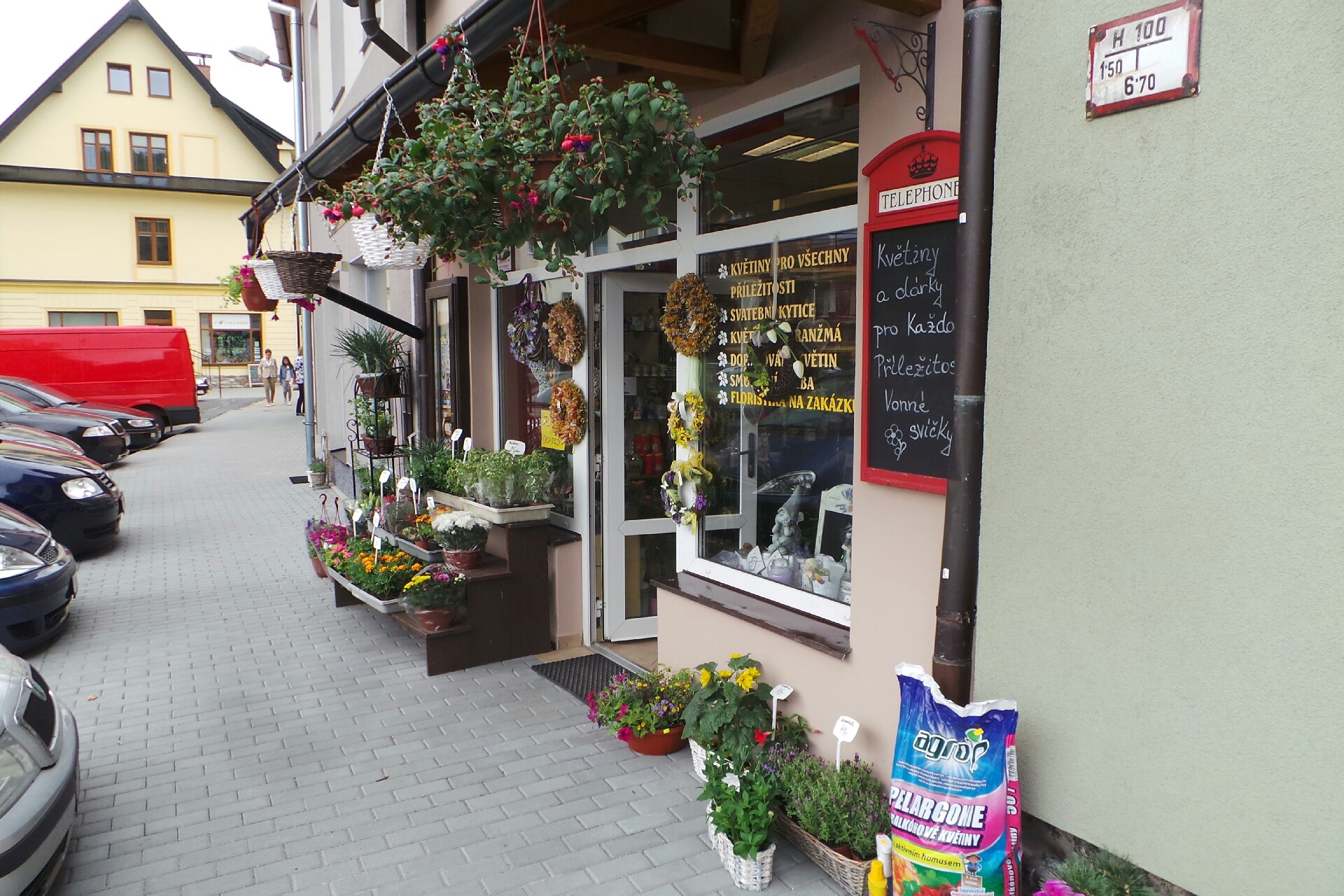 Květiny Kateřina Stejskalová