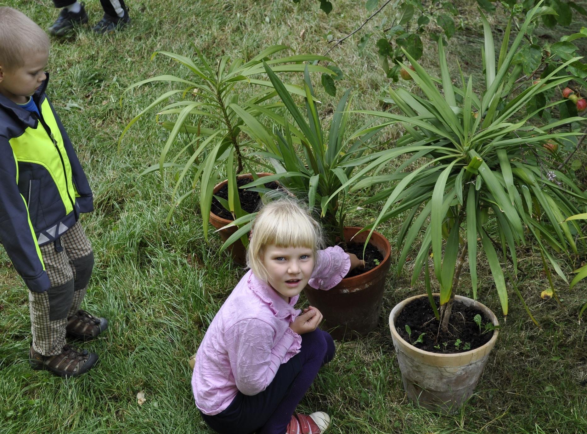 Montessori school foto 6