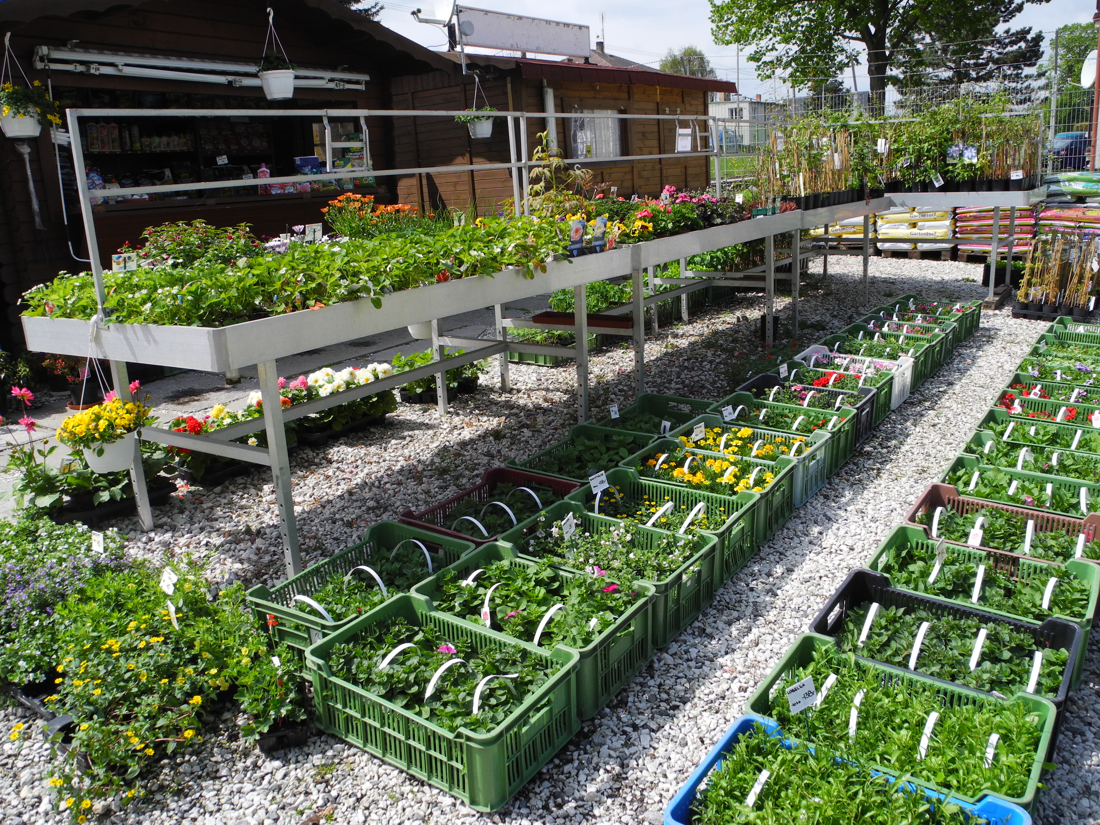 Okrasné zahradnictví foto 2