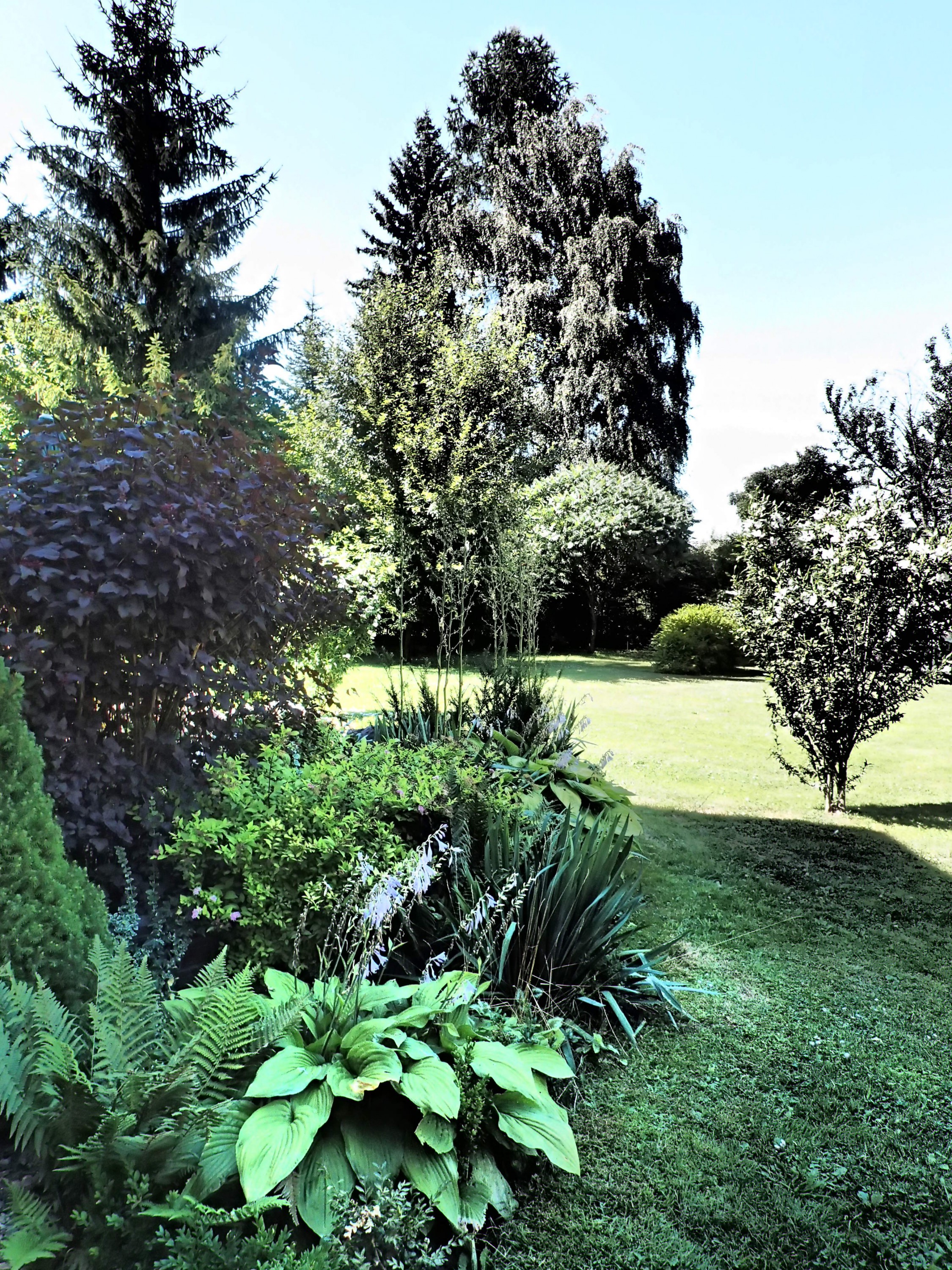 Apartmány Starý přívoz foto 2