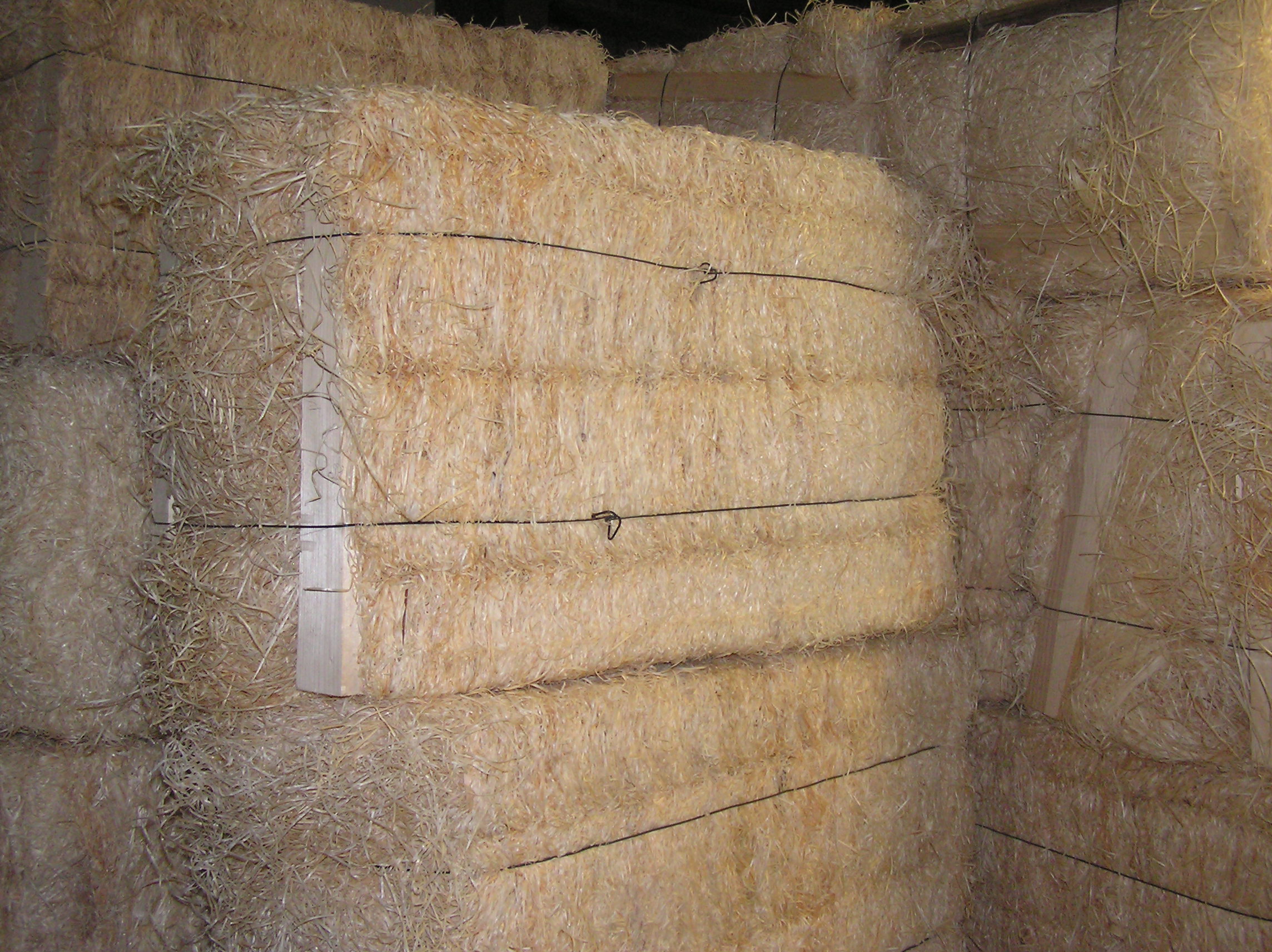 MILOSLAV VLK, DŘEVITÁ VLNA foto 2