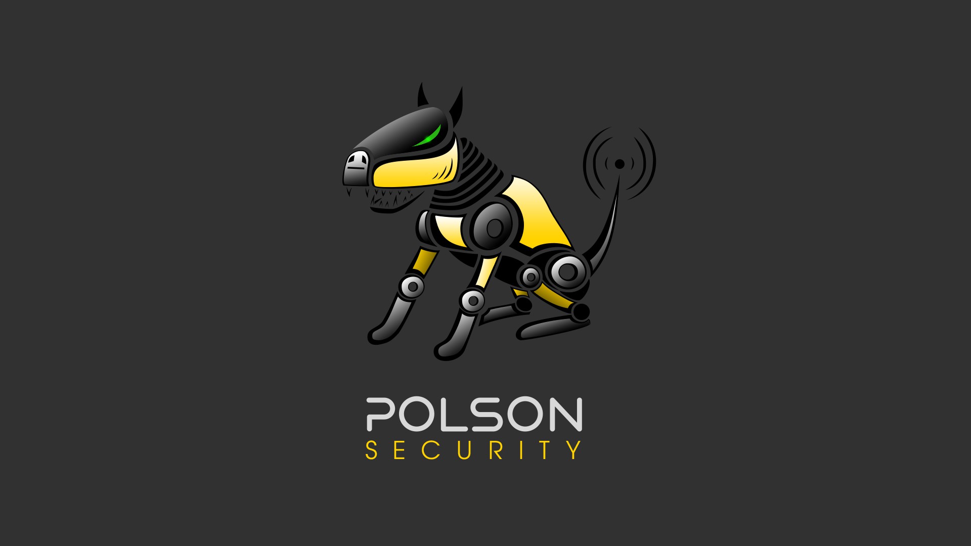 POLSON SECURITY, s.r.o. foto 2