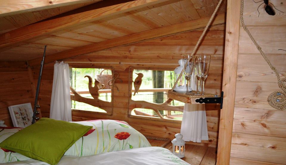 TREE HOUSES s.r.o. foto 2